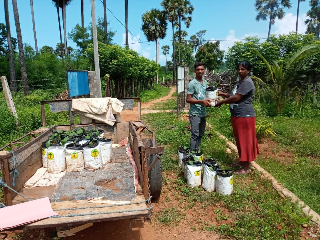 Livelihood support — sewing program and tailoring grants